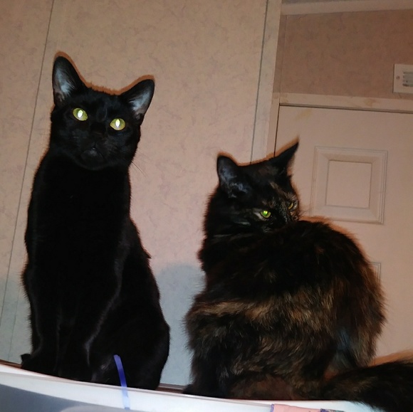 Meet your Posher, Jenny - Picture 10 of 16